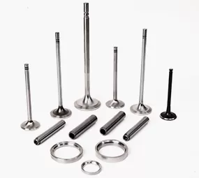 Gas Engine Valve