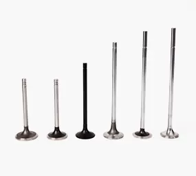 Heavy Duty Engine Valve