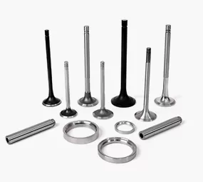 Construction Machinery Engine Valve