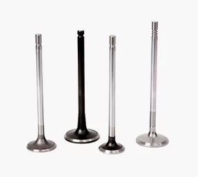 Gasoline Engine Valve